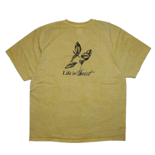 画像をギャラリービューアに読み込む, standard tee (Stevia)/スタンダードティー (ステビア)