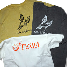 画像をギャラリービューアに読み込む, standard tee (Stevia)/スタンダードティー (ステビア)
